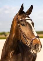 Horseware Rambo Micklem, Dieren en Toebehoren, Paarden en Pony's | Hoofdstellen en Tuigage, Ophalen of Verzenden, Zo goed als nieuw