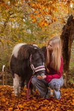 Paarden Fotograaf, Dieren en Toebehoren, Ophalen, Nieuw, Overige soorten