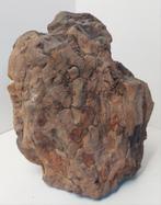 Versteend hout, gewicht 3.3 kg., Ophalen of Verzenden
