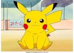 ALLE SOORTEN PIKACHU PSA 10 GEZOCHT, Ophalen of Verzenden, Nieuw, Losse kaart