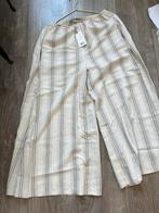 Vince zomer broek nieuw maat M kan ook voor  L, Ophalen of Verzenden, Zo goed als nieuw