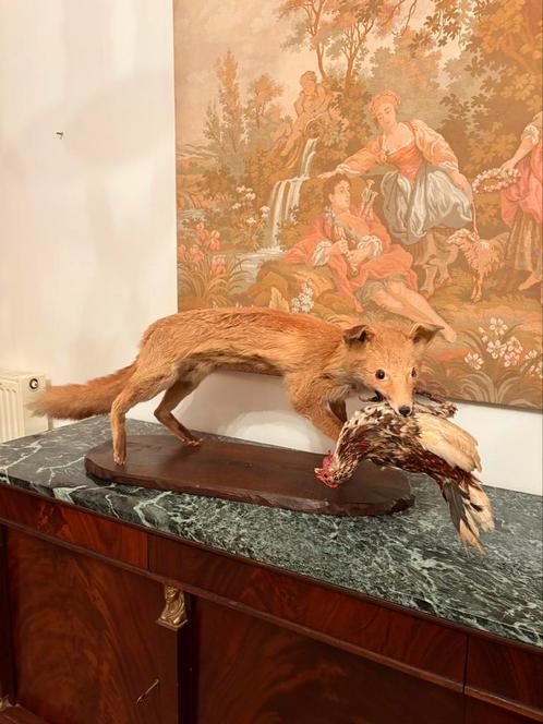 Uit Frans Landhuis : Klassieke opgezette vos met kip, Verzamelen, Dierenverzamelingen, Gebruikt, Opgezet dier, Wild dier, Ophalen