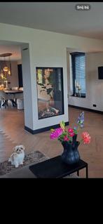 GEZOCHT! Iemand die aquarium kan bouwen ong. zoals foto, Dieren en Toebehoren, Vissen | Aquaria en Toebehoren, Ophalen of Verzenden