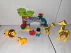 Duplo dieren set met leeuwen en giraffen, Gebruikt, Ophalen of Verzenden, Duplo, Duplo