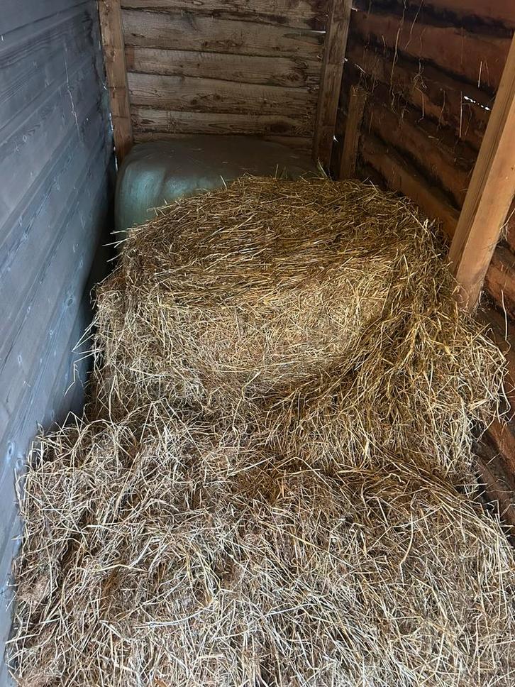 Kuil 2 midi balen, Dieren en Toebehoren, Stalling en Weidegang