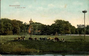 Bloemendaal In Duin en Daal met ooievaarsnest+ schapen 1913 beschikbaar voor biedingen