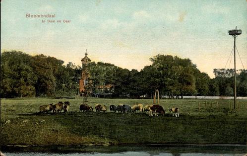 Bloemendaal In Duin en Daal met ooievaarsnest+ schapen 1913, Verzamelen, Ansichtkaarten | Nederland, Gelopen, Noord-Holland, Voor 1920