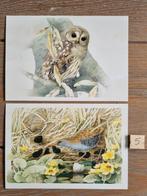 Set 5 MARJOLEIN BASTIN kaarten postcrossing nieuw, Verzamelen, Ansichtkaarten | Dieren, Ophalen, 1980 tot heden