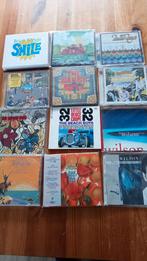 Beach boys 12 cd's Japanse mini albums replica, Cd's en Dvd's, Ophalen of Verzenden, 1960 tot 1980, Zo goed als nieuw