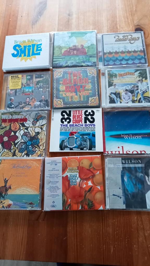 Beach boys 12 cd's Japanse mini albums replica, Cd's en Dvd's, Cd's | Pop, Zo goed als nieuw, 1960 tot 1980, Ophalen of Verzenden