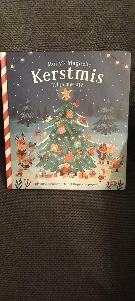 Molly's Magische Kerstmis - Prentenboek, Boeken, Prentenboeken en Plaatjesalbums, Zo goed als nieuw, Prentenboek, Ophalen of Verzenden