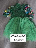 Carnavalskleding voor kinderen, dames en heren, Ophalen, Carnaval, Maat 42/44 (L), Kleding