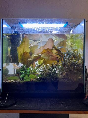 Aquarium,complete set 30 liter.Guppen,garnalenen rozeslakjes beschikbaar voor biedingen