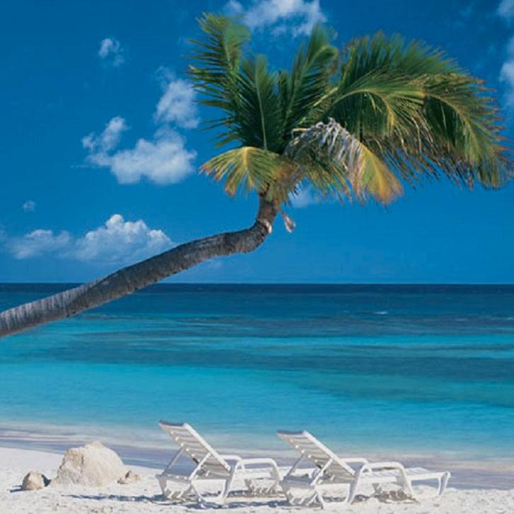 Strand fotobehang Ocean Breeze - VOORRAAD KORTING, Huis en Inrichting, Stoffering | Behang, Blauw, Wit, Groen, 10 tot 25 m², Verzenden