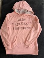 Mooie roze hoodie, Zara, goede staat, maat 140, Meisje, Trui of Vest, Ophalen of Verzenden, Zara