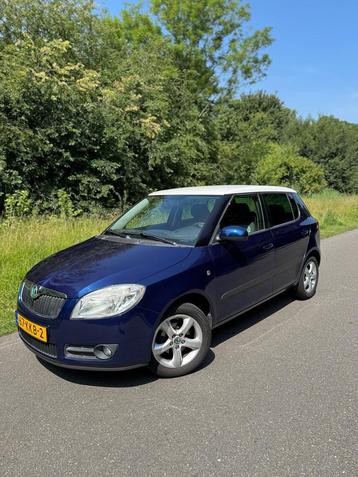 Skoda Fabia 1.4 16V Tour (bj 2010) beschikbaar voor biedingen