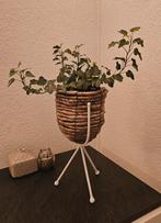 Kamerplant, Tuin en Terras, Bloempotten, Rond, Binnen, Zo goed als nieuw, Aardewerk