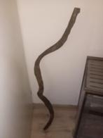 Terrarium Stok, Dieren en Toebehoren, Reptielen en Amfibieën | Toebehoren, Ophalen, Gebruikt, Tak, Plant, Rots of Steen