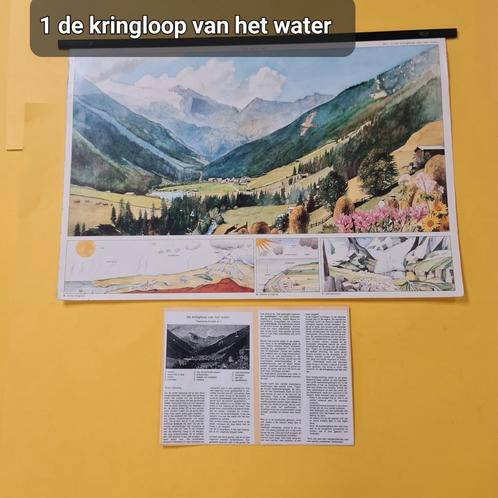Schoolplaten,  incl bijlage omschrijving afbeeldingen., Antiek en Kunst, Antiek | Schoolplaten, Natuur en Biologie, Ophalen of Verzenden