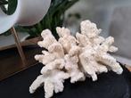 Nep Koraal Decoratie - Woonaccessoires !!!, Huis en Inrichting, Woonaccessoires | Overige, Ophalen