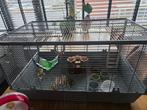 Grote kooi, knaagdieren of vogel, Kooi, Minder dan 75 cm, Zo goed als nieuw, Hamster