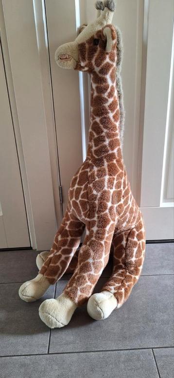 Giraffe knuffel xl beschikbaar voor biedingen