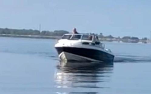 Stingray cuddy cabin V8 plus trailer, Watersport en Boten, Speedboten, Zo goed als nieuw, 6 meter of meer, Benzine, 200 pk of meer