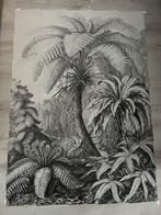 Ixxi Ferns Ernst Haeckel palmbomen 100 x 140 cm, Antiek en Kunst, Ophalen of Verzenden