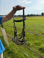 Zilco hoofdstel, S hackamore, Ophalen, Gebruikt