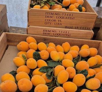 Kunst, Dummy, Decoratie, Nep nispero of wel Loquat fruit beschikbaar voor biedingen