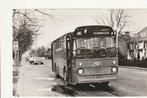 ROTTERDAM MOLENLAAN 1967 LEYLAND LEOPARD VERHEUL n TERBREGGE, Ophalen of Verzenden, 1960 tot 1980, Ongelopen, Zuid-Holland