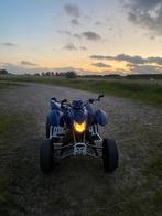 Access sp250cc quad met kenteken, 250 cc, 1 cilinder, 12 t/m 35 kW