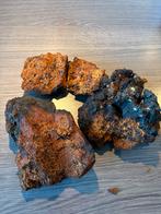 Verse chaga uit Zweden, Ophalen of Verzenden