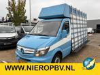 Mercedes-Benz Sprinter 313 cdi glasresteel (bj 2014), Auto's, Bestelauto's, 13 km/l, Euro 5, Gebruikt, Bedrijf