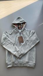 Burberry vest, Kleding | Heren, Nieuw, Ophalen of Verzenden, Grijs, Burberry