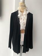 Als Nieuw Massimo Dutti diep zwart vest l 40 42, Kleding | Dames, Massimo Dutti, Verzenden, Zwart, Maat 42/44 (L)