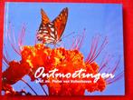 Ontmoetingen - Pieter van Vollenhoven, Boeken, Ophalen of Verzenden, Zo goed als nieuw, Natuur algemeen