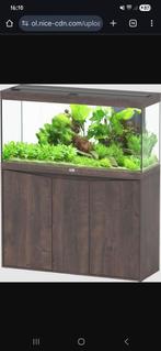 Aqualantis Splendid 100., Dieren en Toebehoren, Vissen | Aquaria en Toebehoren, Ophalen, Leeg aquarium