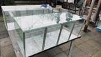 3 terrariums, reptiel / knaagdier stelling, Ophalen, Gebruikt