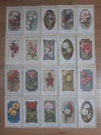 J.C. Boldoot kaarten - van "De Taal der Bloemen" uit 1910, Ophalen of Verzenden, Voor 1920, Ongelopen, Natuur