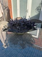 Vaas, Ophalen of Verzenden, Glas, Minder dan 50 cm