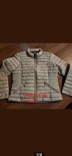 Pescara jas maat L €10, Kleding | Dames, Ophalen of Verzenden, Zo goed als nieuw, Maat 38/40 (M), Zwart