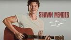 Shawn mendes floor ticket, Eén persoon