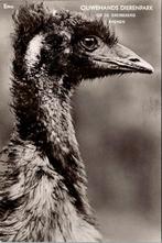 Rhenen - Ouwehands Dierenpark Grebbeberg emu, Verzenden, 1960 tot 1980, Gelopen, Utrecht