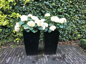 Twee zwarte keramieken potten bloempot bloempotten 
