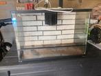 Terrarium, Dieren en Toebehoren, Reptielen en Amfibieën | Toebehoren, Ophalen, Zo goed als nieuw, Terrarium of Paludarium