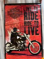 Harley davidson poster, Ophalen of Verzenden, Zo goed als nieuw
