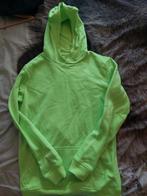 Blue Ridge Sweater, Kinderen en Baby's, Kinderkleding | Maat 170, Jongen of Meisje, Trui of Vest, Nieuw, Ophalen of Verzenden