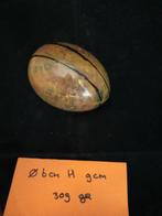 Versteend Hout Ei - Decoratief Object, Ophalen of Verzenden