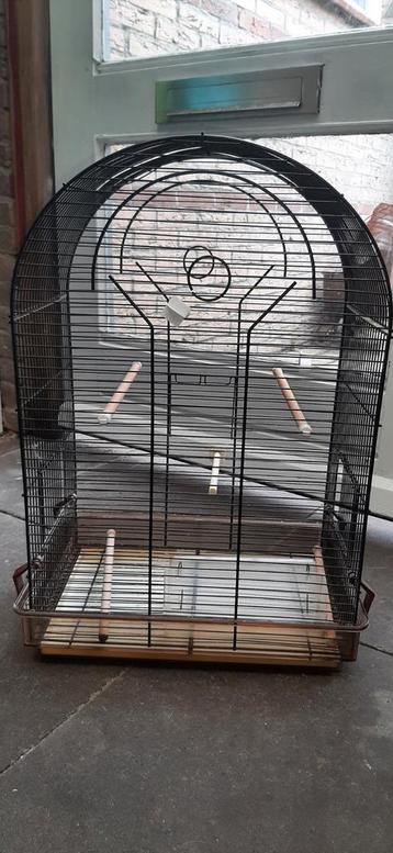 Leuk vogeltkooitje beschikbaar voor biedingen